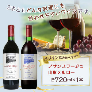 赤ワイン 飲み比べ セット ワイン お酒 山形 08-17-006