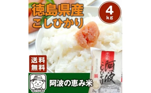 徳島県産 コシヒカリ 阿波の恵み米 4kg 米 こめ こしひかり 白米 精米 お米 ブランド米