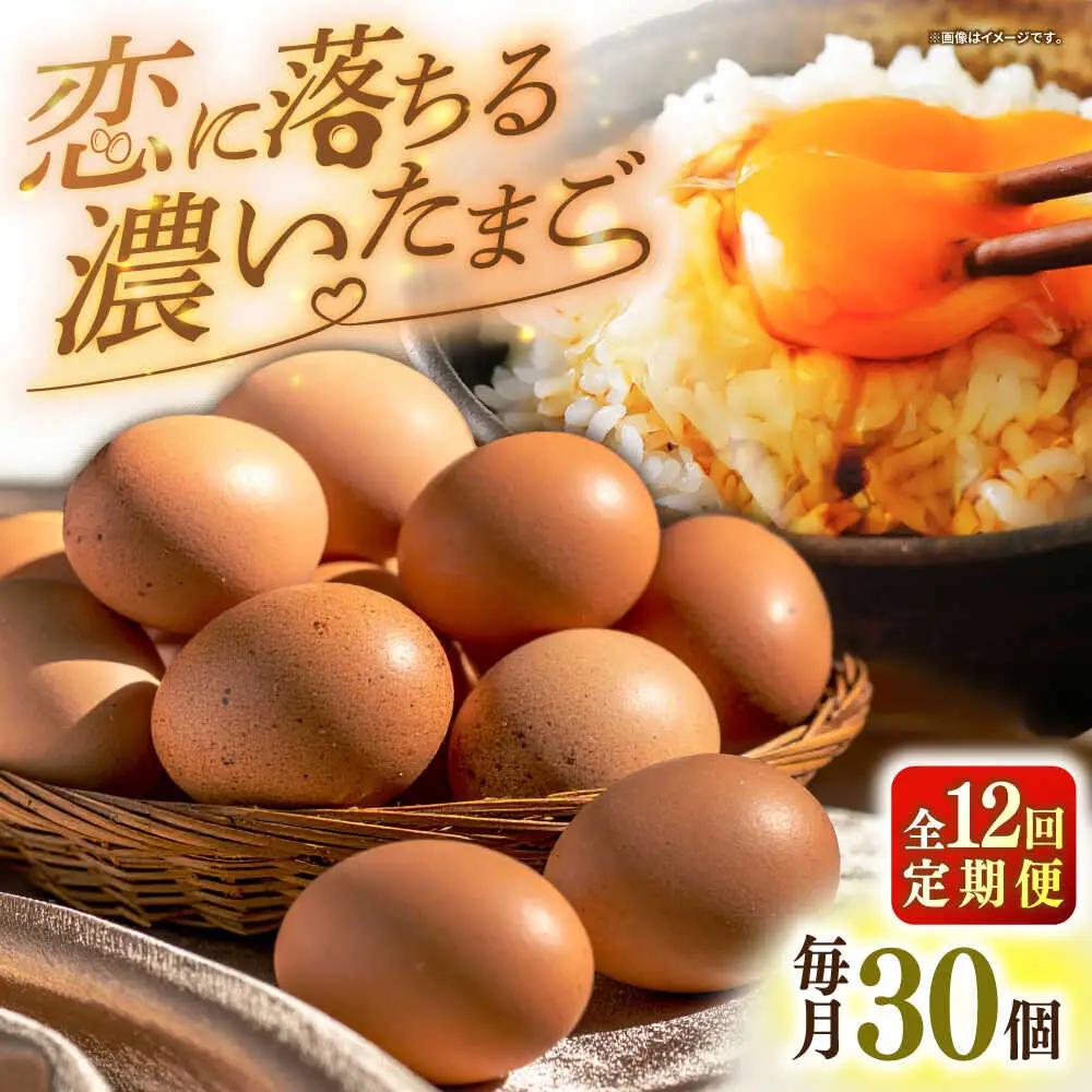 【全12回定期便】【特選卵】素直な恋たまご 30個 [JAP021]