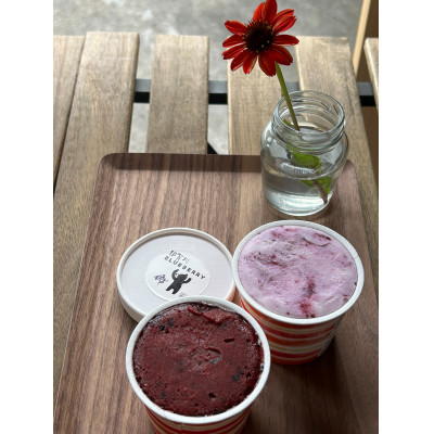 
                  那賀川育ち 完熟ブルーベリーの贅沢アイス&ソルベ【1588064】
                