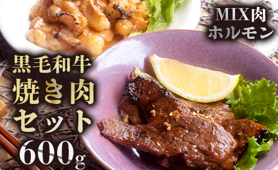 
                  黒毛和牛 焼肉MIX 300g＋ホルモン 300g 合計600g 旨辛タレ漬け 焼肉用 牛肉 BBQ 冷凍
                