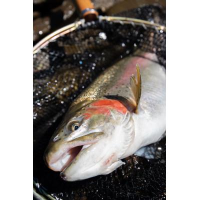 ふるさと納税 日光市 鱒界の頂点を目指しマス!頂鱒(イタダキマス)の柵どり(生食用)約1.2kg |  | 02