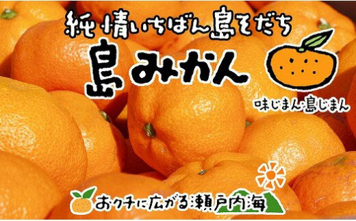 【ふるさと納税】【2026年1月上旬から発送予定】 希望の島 温州みかん 新品種 ゆたか 約3kg S～Lサイズ 柑橘 みかん ミカン 果物 フルーツ 新品種 国産 産地直送 新鮮 人気 おすすめ グルメ お取り寄せ 家庭用 自宅用 期間限定 数量限定 愛媛県 松山市 送料無料