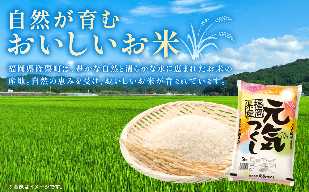 令和7年産 福岡県産元気つくし 20kg | ふるさと納税 元気つくし 福岡県産 ブランド米 米 白米 精米 新米 お取り寄せ ごはん 人気 高評価 九州米 食味ランキング 家庭用 ギフト