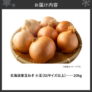 玉ねぎ 北海道産 小玉 20kg SSサイズ以上