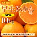 【ふるさと納税】【先行予約】浅野農園の早生みかん 訳あり10kg｜柑橘 みかん ミカン フルーツ 果物 愛媛 ※2024年11月上旬～11月中旬頃に順次発送予定 ※離島への配送不可