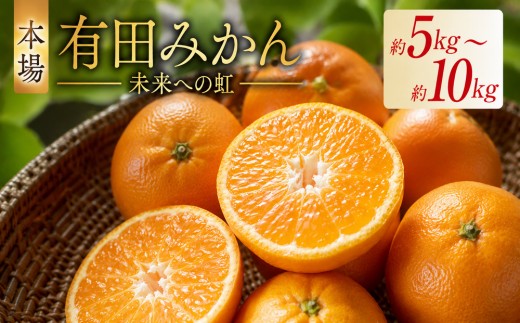 【｢みかん｣感想数でNo.1！】有田みかん「未来への虹」（10kg）