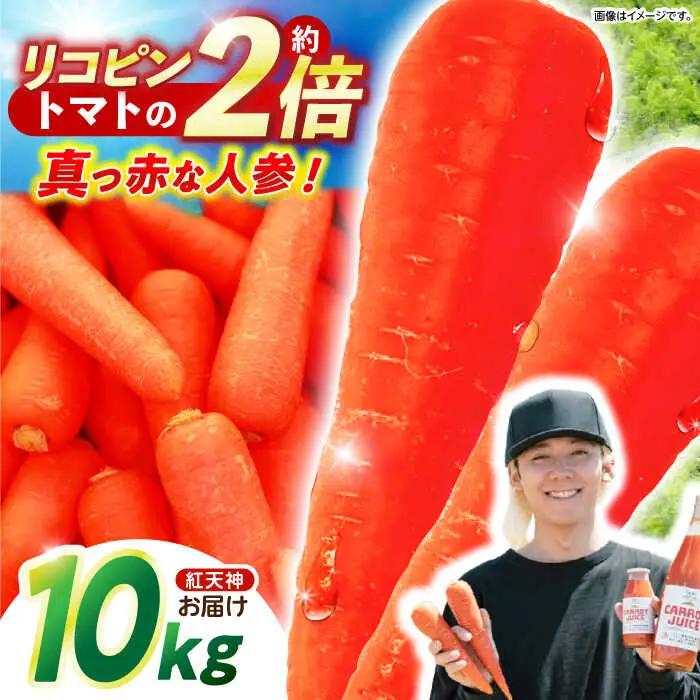 ※【2027年1月上旬より順次発送／先行予約】真っ赤なにんじん「紅天神」10kg AHCU002 にんじん
