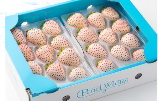 ＜令和8年1月中旬以降順次発送＞白いちご パールホワイト440g［A5002-04-0］