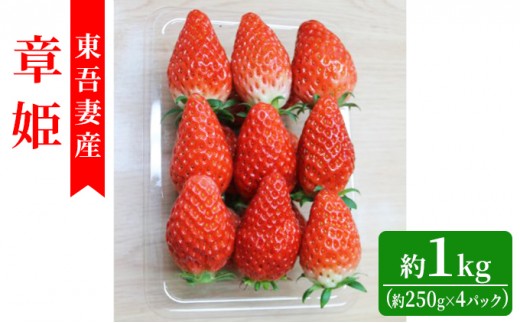 
                  【東吾妻町産】いちご 章姫（あきひめ）約250g×4パック 果物 ストロベリー フルーツ デザート 食後  果汁豊富 酸味が少ない 国産 産地直送 おやつ 少しやわらか 口当たりが良い 
                