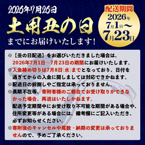 i1078-A-us 【2026年丑の日までに配送】＼特大サイズ／鹿児島県産 うなぎ蒲焼 2尾（約220g×2・計約440g） たれ 山椒付きうなぎ 鰻 ウナギ 特大 特大サイズ 約220g 蒲焼き 