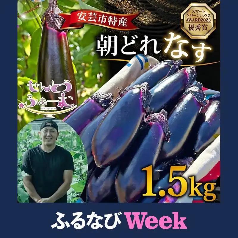 【ふるなびWEEK対象】朝採れナス 約1.5kg 高知県安芸市｜ナス