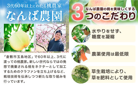 【令和7年度先行予約】桃 もも ご家庭用 岡山白桃 約1.5kg ( 6玉 前後 ) 《2025年6月中旬-8月下旬頃出荷》なんば農園 岡山県 浅口市 フルーツ モモ 果物 青果 旬 白桃 桃 訳アリ