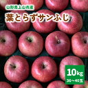 【ふるさと納税】有機肥料栽培 葉とらずサンふじ 上山市産 10kg 36～40玉 りんご 果物 フルーツ 産地直送 山形 お取り寄せ 送料無料 山形県 上山市 0079-2415