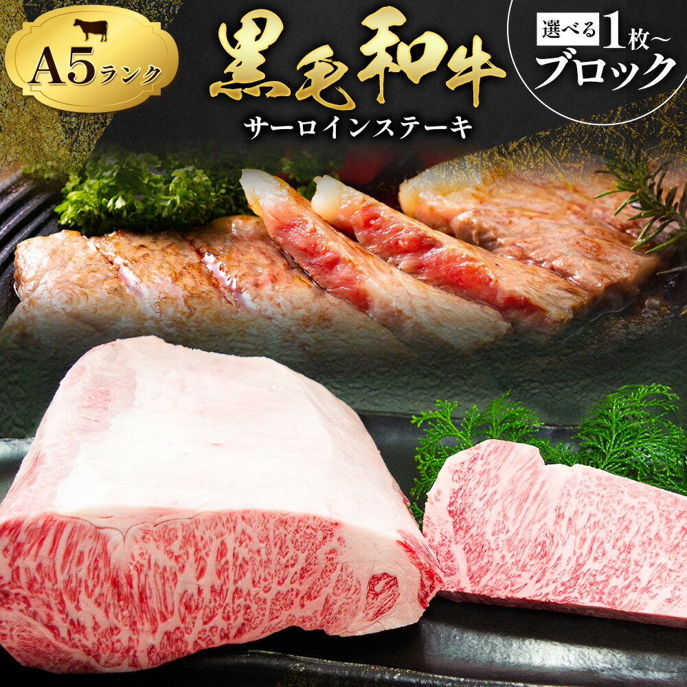 【ふるさと納税】黒毛和牛 サーロインステーキ 選べる内容量 1枚 約300g ブロック 約3kg ステーキソース付 田中畜産《90日以内に出荷予定(土日祝除く)》 熊本県 苓北町 A4 ～ A5 ランク 国産 肉 牛肉 ステーキ 黒牛 天草 苓北 熊本 産地直送 送料無料