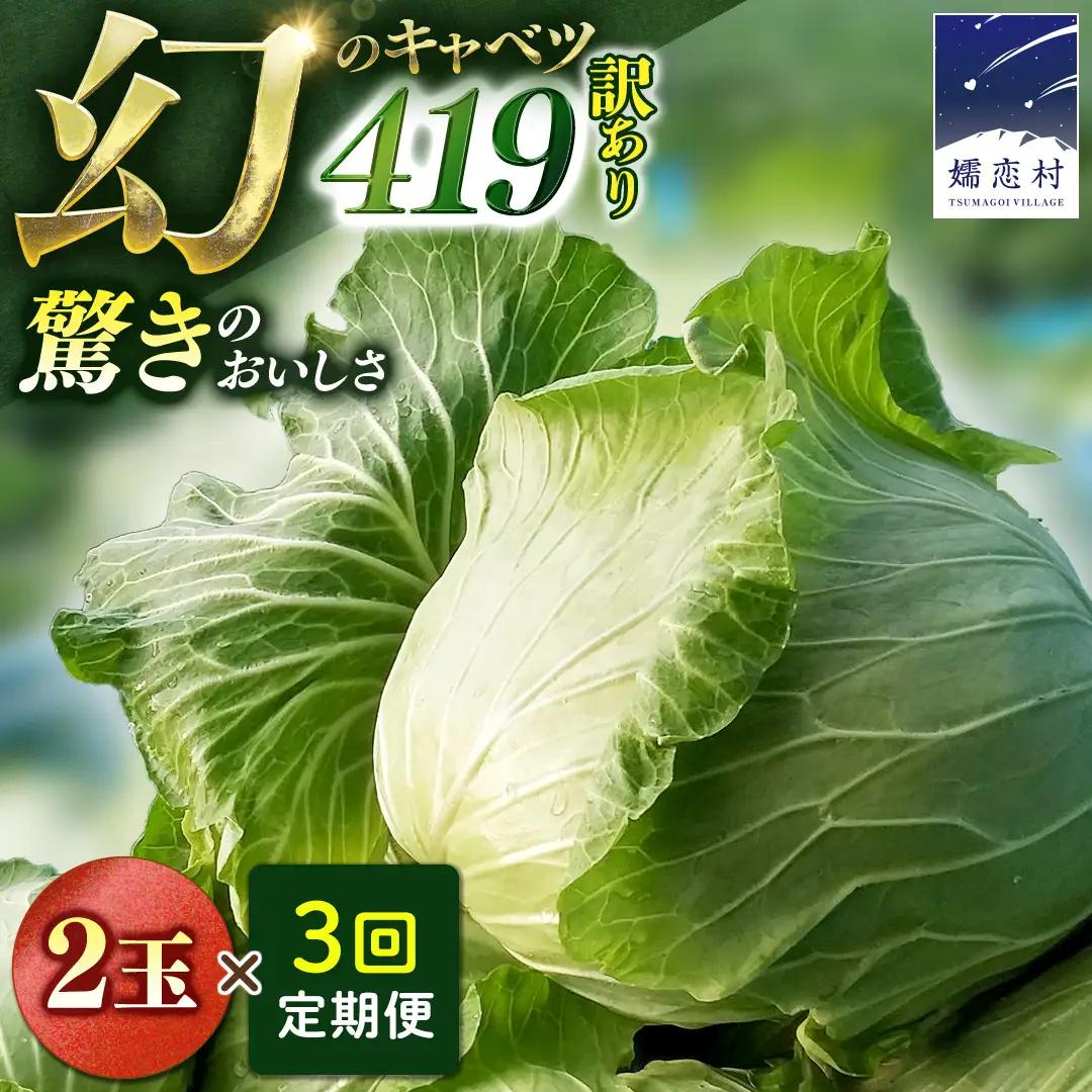 ＜レビューキャンペーン開催中＞【7月中旬発送開始】訳あり 《 3か月 定期便 》まぼろしの419キャベツ 2玉 3カ月 先行予約 [AL015tu]