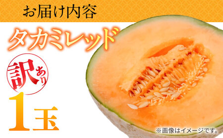 訳あり タカミメロン レッド 1玉 / メロン めろん フルーツ 果物 / 南島原市 / 南島原果物屋[SCV034]