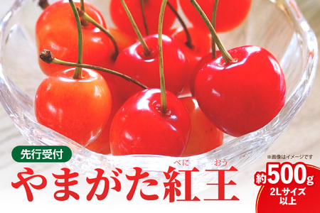 《先行受付》さくらんぼ 山形紅王（やまがたべにおう）約500g (2Lサイズ以上) 【2026年6月中旬～順次発送予定】 022-012