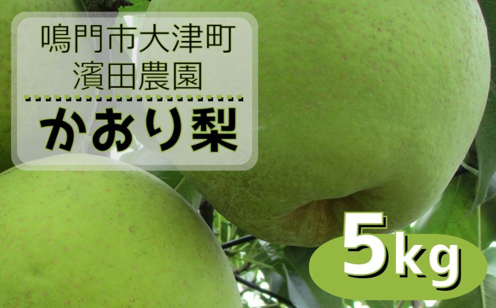 
                  【予約受付中】【9月上旬～中旬より順次発送】 濱田農園 かおり梨 約5kg 【数量限定】
                