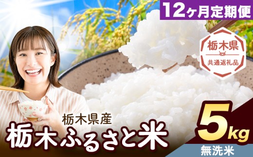 【12ヶ月定期便】米 栃木 ふるさと米 無洗米 5kg《お申込み翌月から出荷》栃木県 野木町 米  精米 国産 お米 おこめ お弁当 おにぎり【栃木県共通返礼品】