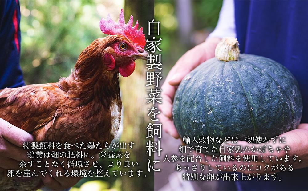 【定期便6か月】国産飼料にこだわった鶏が産む安全安心の 『レモン色たまご』20個（15個＋割れ保証5個）