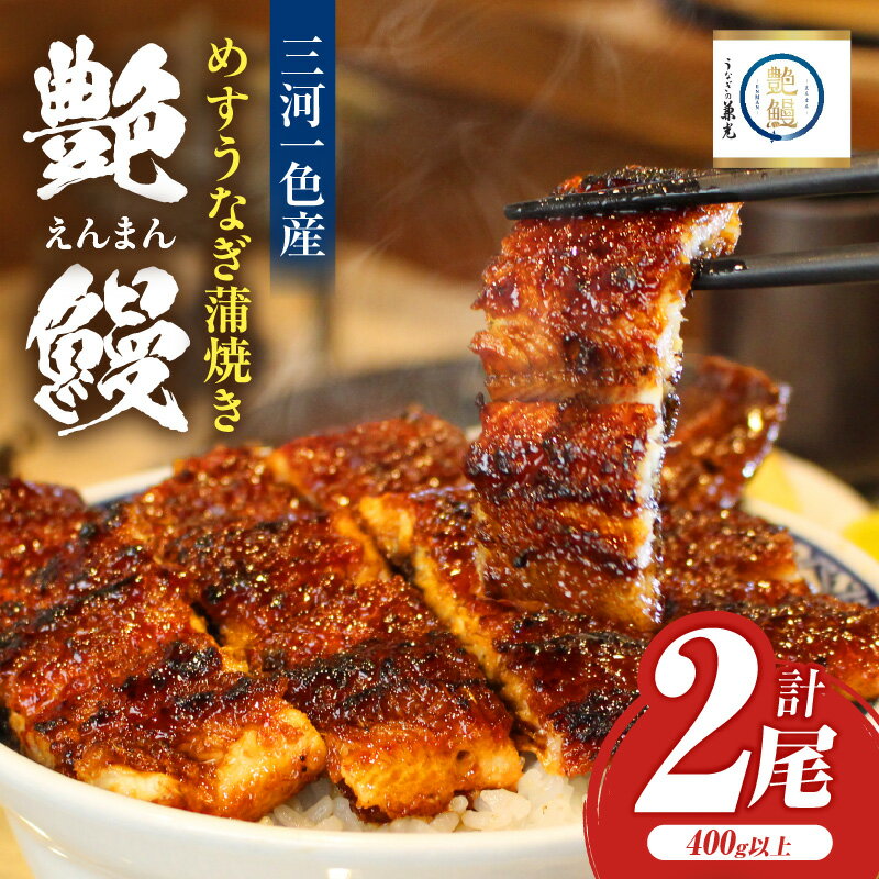 【ふるさと納税】愛知県三河一色産 めすうなぎ「艶鰻」うなぎ蒲焼き （計2尾400g以上）・U048 うなぎ 鰻の蒲焼 蒲焼 三河一色産 一色産 国産 愛知県産 真空パック 小分け グルメ お取り寄せ ギフト おすすめ 愛知県 西尾市