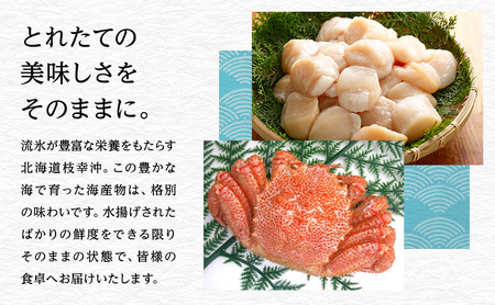 新巻鮭 切身10切 めじか鮭［オホーツク枝幸産］山上佐藤水産【 鮭 サケ 海鮮 魚貝類 サーモン 北海道 オホーツク 枝幸 】