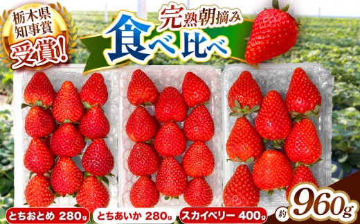 
                  いちご3品種 食べ比べセット 960g(とちあいか・スカイベリー・とちおとめ)
                