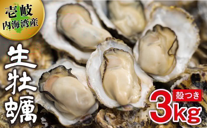 
                  【季節限定：2月～4月】牡蠣 生牡蠣 殻つき 3kg （オープナー付き）  内海湾産《壱岐市》【壱岐東部漁業協同組合】[JBT001] 18000 18000円 2万円
                
