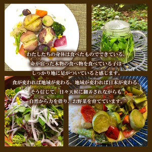 【2026年6月上旬以降順次発送】じゃがいも 10kg デストロイヤー 野菜 農家直送 季節限定 芋 いも下関 IN103