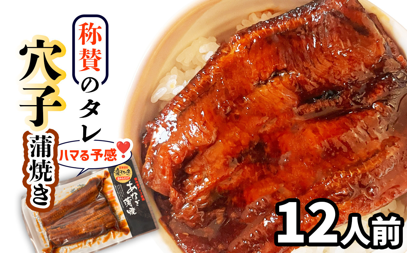 
                  穴子 国産 蒲焼き 12食 冷凍 あなご タレ かばやき レンチン 湯せん 簡単 便利 時短 アナゴ 魚 人気 絶品 宮城県 塩竈市 三晃食品株式会社 ｜13,000円 1万3000円 
                