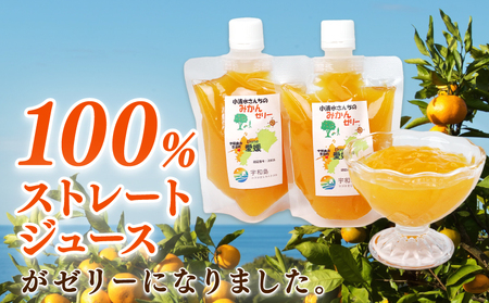 みかんゼリー 愛媛 小清水さんちのみかんゼリー 小清水農園 175g ×7個 温州 みかん mikan 愛媛みかん 飲む ゼリー 果物ゼリー フルーツ ゼリー 果汁 ジュレ 小分け パック 果物 くだ