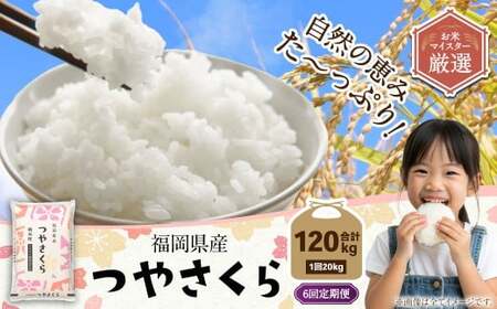 【6ヶ月定期便】福岡県産つやさくら 20kg 岡垣町 ふるさと納税返礼品 お米 こめ 精米 ご飯 ごはん 国産 定期便