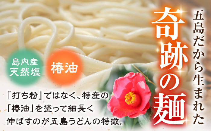 【全12回定期便】椿うどん10袋セット　保存食　椿　五島　うどん　手延べ　五島市/中本製麺 [PCR015]
