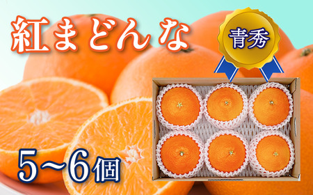 【先行予約】紅まどんな（秀品・ 5～6個入）｜柑橘 愛媛 みかん マドンナ