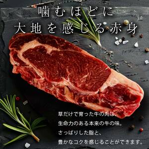 【十勝オーガニック放牧牛(グラスフェッドビーフ)すき焼き・しゃぶしゃぶセット】(1.2kg) 薄切り スライス 鍋 お肉 トカプチ農場 F21P-1141