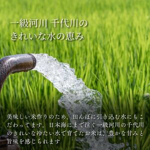 Y488 因幡の白兎米 コシヒカリ 令和7年産 精米済 10kg（5kg×2袋）