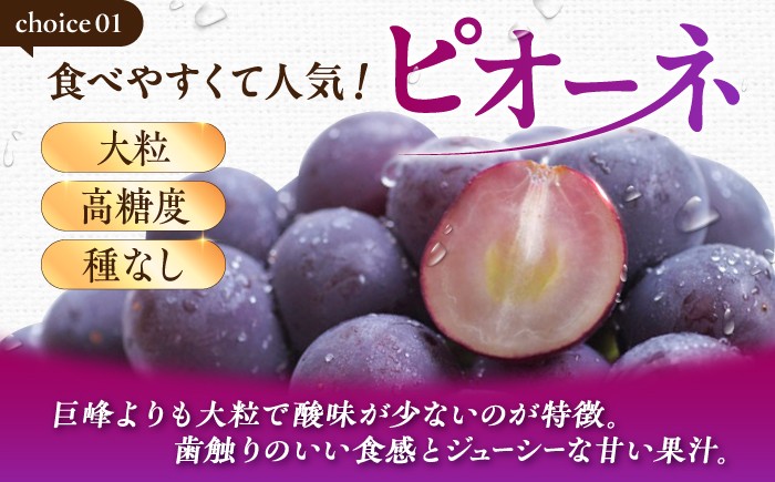 ピオーネ 種無し ぶどう ブドウ 葡萄 果物