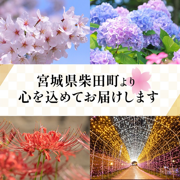 ＜先行予約！2026年10月以降順次発送予定＞【令和8年産 新米】しばたのササニシキ 精米 5kg 柴田町産 お米 おこめ 米 コメ 白米 ご飯 ごはん おにぎり お弁当 ささにしき 新米 【しばたの未来株式会社】sh198