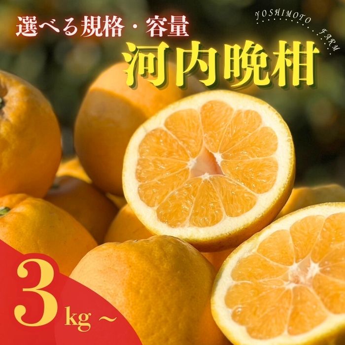 河内晩柑 （愛南ゴールド）木取り完熟 樹齢25年 吉本農園 柑橘 みかん 愛南ゴールド 蜜柑 グレープフルーツ ゼリー ジュース アイス 果物 フルーツ サイズミックス 規格外 愛媛県 愛南町