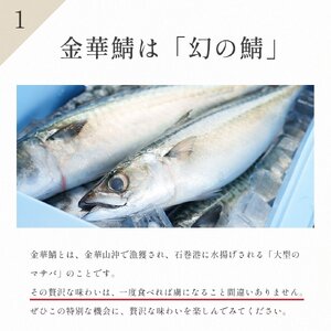 100年を超える老舗の鯖寿司 鯖の棒寿司 上 約800g 2.5-3人前 配送日/配送時間指定必須 鯖寿司