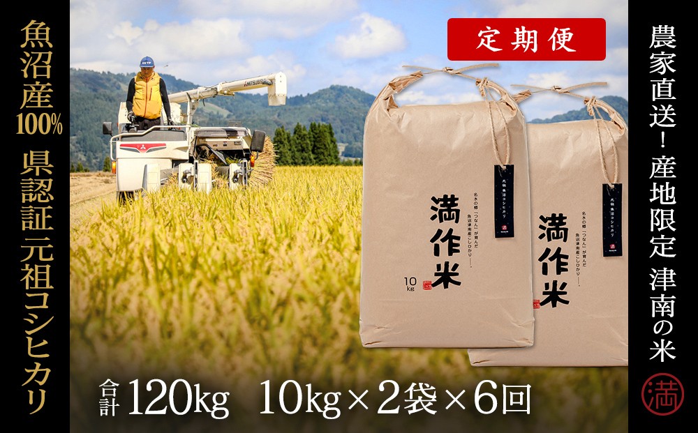 
            【 定期便 6ヶ月 】 米 20kg ( 10kg × 2袋 ) × 6回 令和7年産 新米 魚沼産 コシヒカリ 県認証米 満作米 | ブランド米 お米 おこめ 白米 精米 新潟県 津南町
          