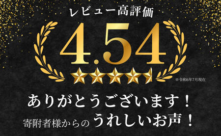 佐賀牛 もも 薄切り (しゃぶ・すき焼き用) 300g 【佐賀牛の赤身で鍋を楽しむ】 しゃぶしゃぶ すきやき モモ 牛肉 黒毛和牛 極上の佐賀牛 厳選 うすぎり ウスギリ 10000円 1万円 N10