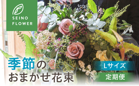 季節のお花  西濃フラワー 定期便 3回 Lサイズ