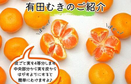 【5月下旬出荷予定】ハウスみかん 温室栽培 夏の有田みかん 1kg 秀品 S・M・Lサイズのいずれか 和歌山県 産地直送 みかんの会