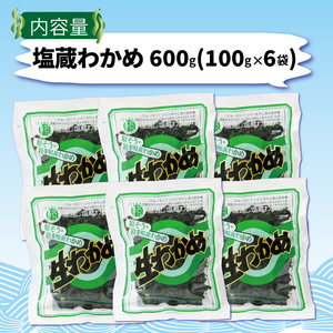 塩蔵わかめ 600g (100g×6袋) 