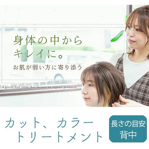 No.290 （LL）カット、カラー、トリートメント