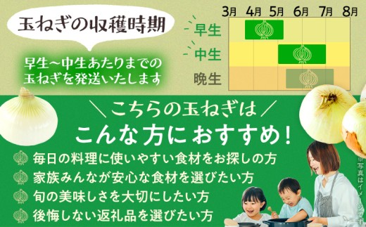  古賀市産玉ねぎ　4kg