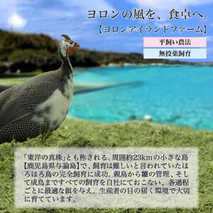 奄美 黒ほろほろ鳥  『与論の風ギフトセット』