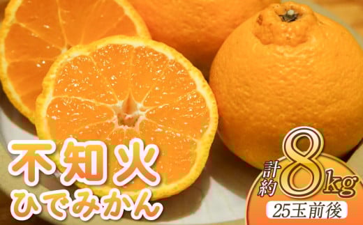 先行予約 不知火 約8kg (25玉前後)【2026年2月上旬から3月下旬発送予定】 しらぬい みかん ミカン 蜜柑 フルーツ 果物 くだもの 熊本県産 九州産 国産 送料無料 ひでみかん
